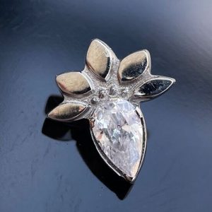 gota cristal hojas