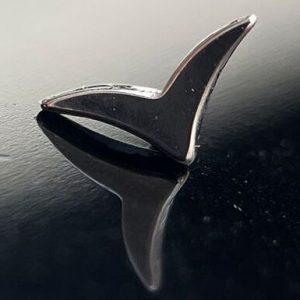 trazo gaviota