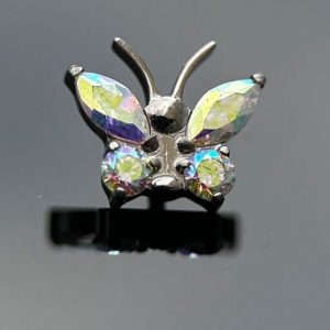 mariposa aurora boreal