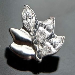 Hoja cristal