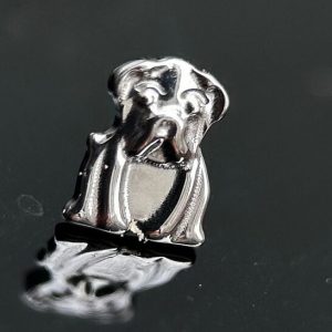 perrito push pin
