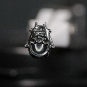 mi amigo Totoro